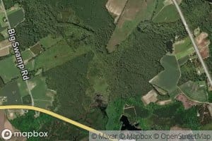 Little Swamp