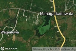 Mahagalkadawala Wewa