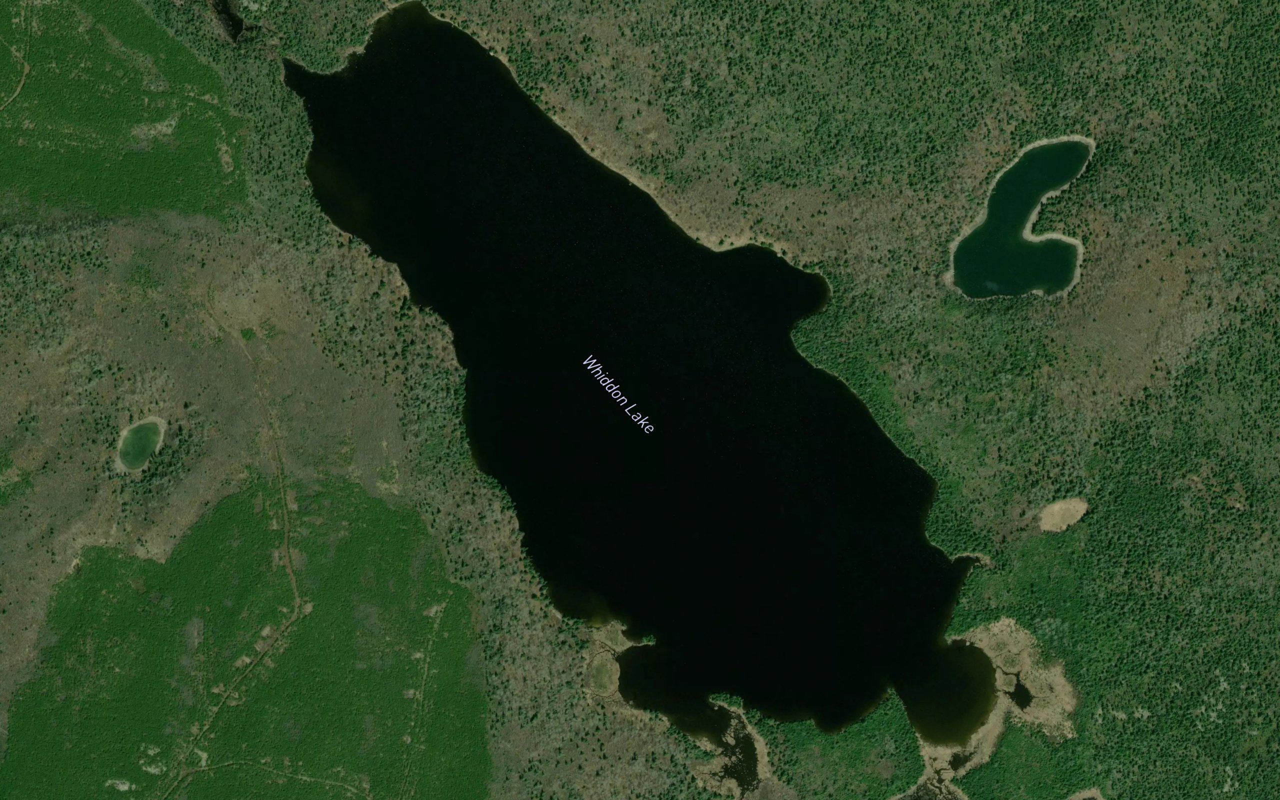 Whiddon Lake