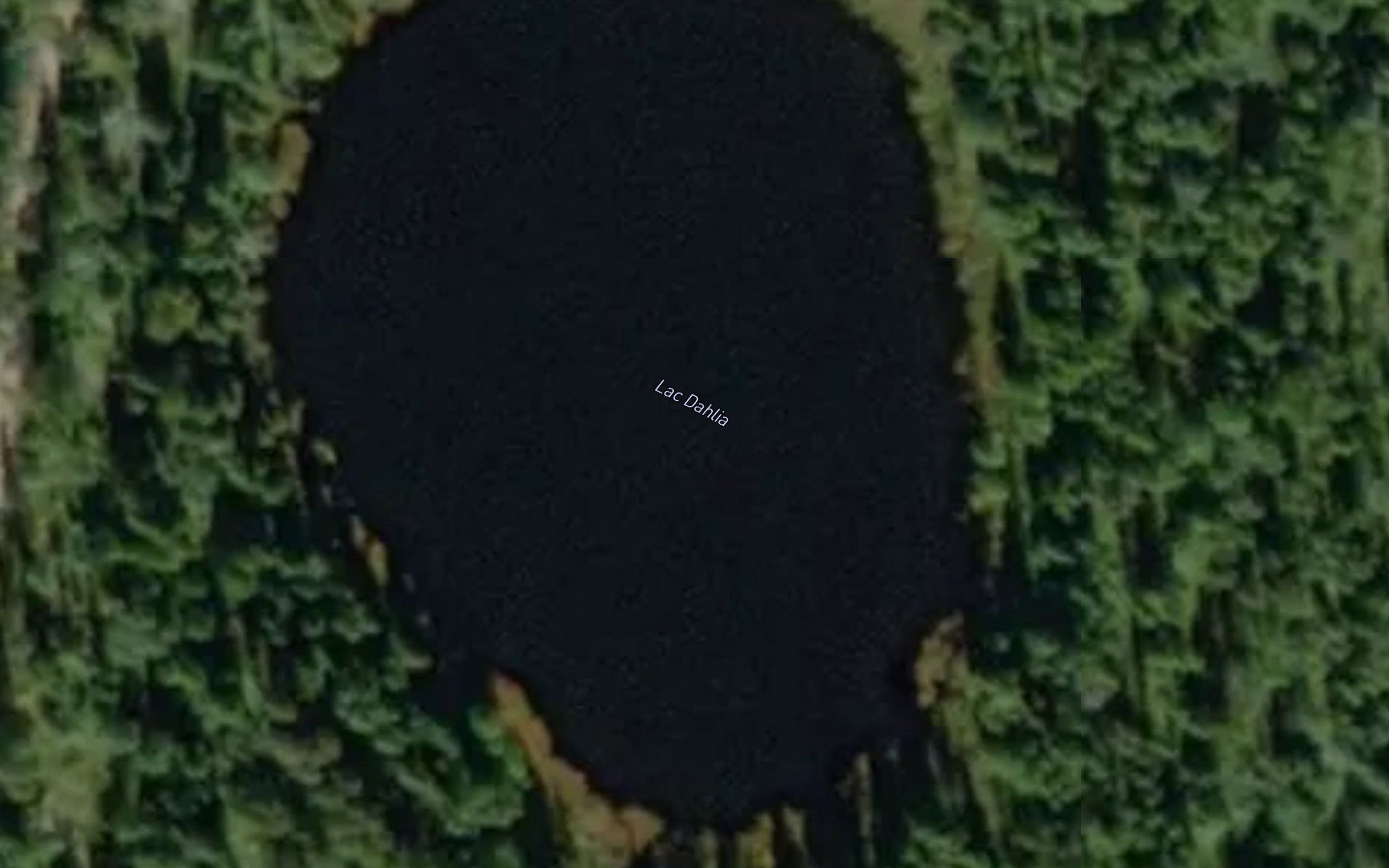 Lac Dahlia
