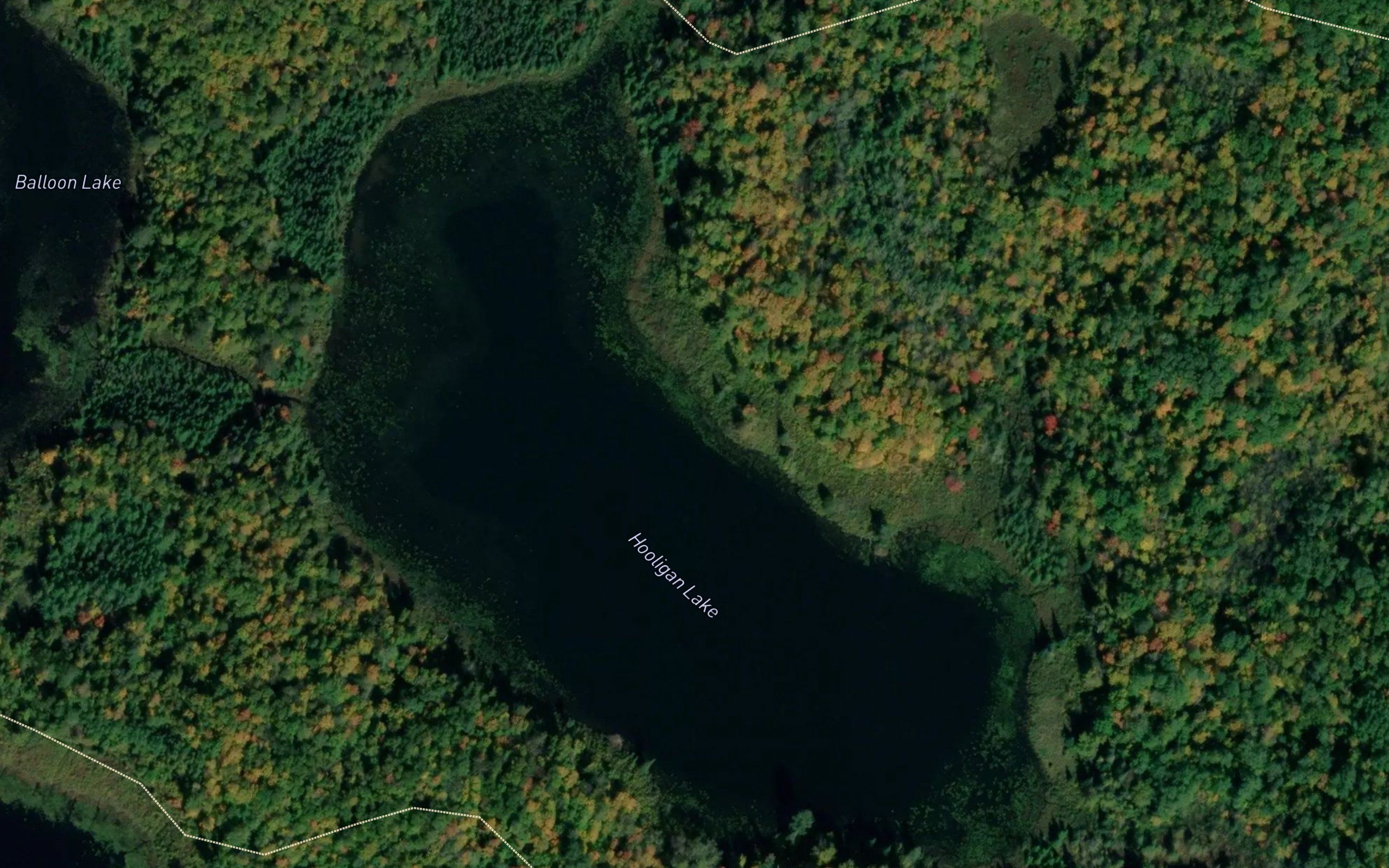 Hooligan Lake