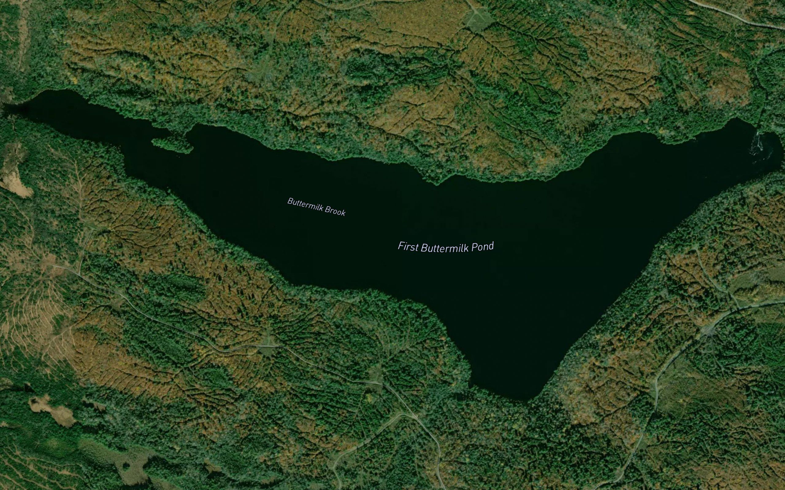 First Buttermilk Pond
