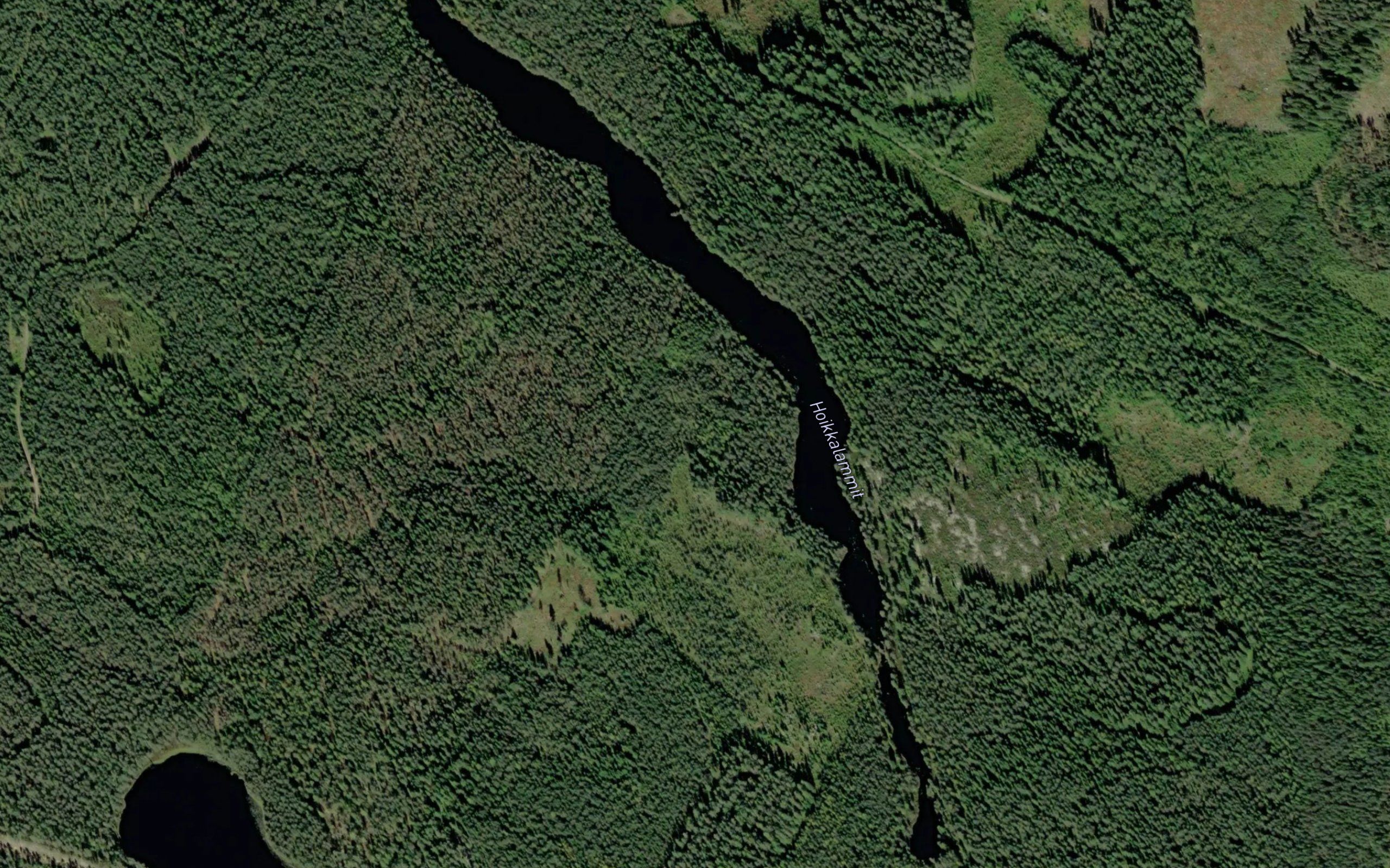 Hoikkalammit