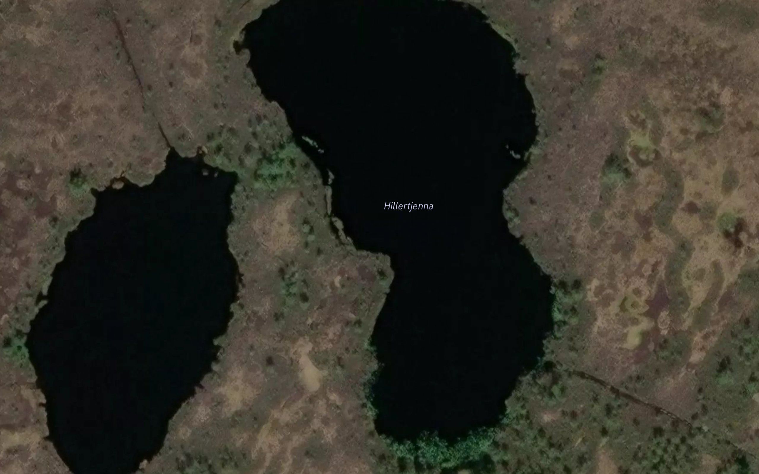 Hillertjerna