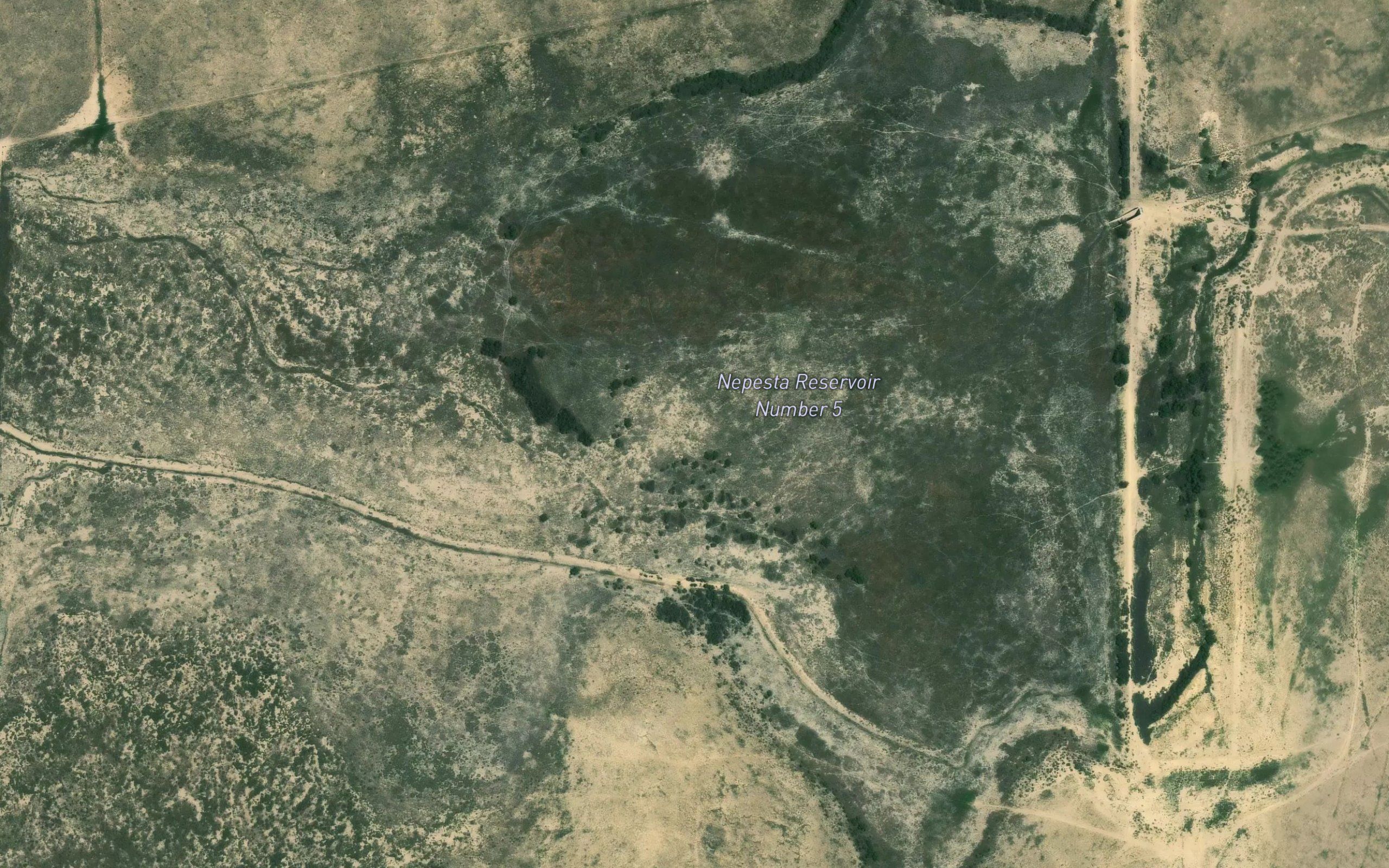 Nepesta Reservoir Number 5