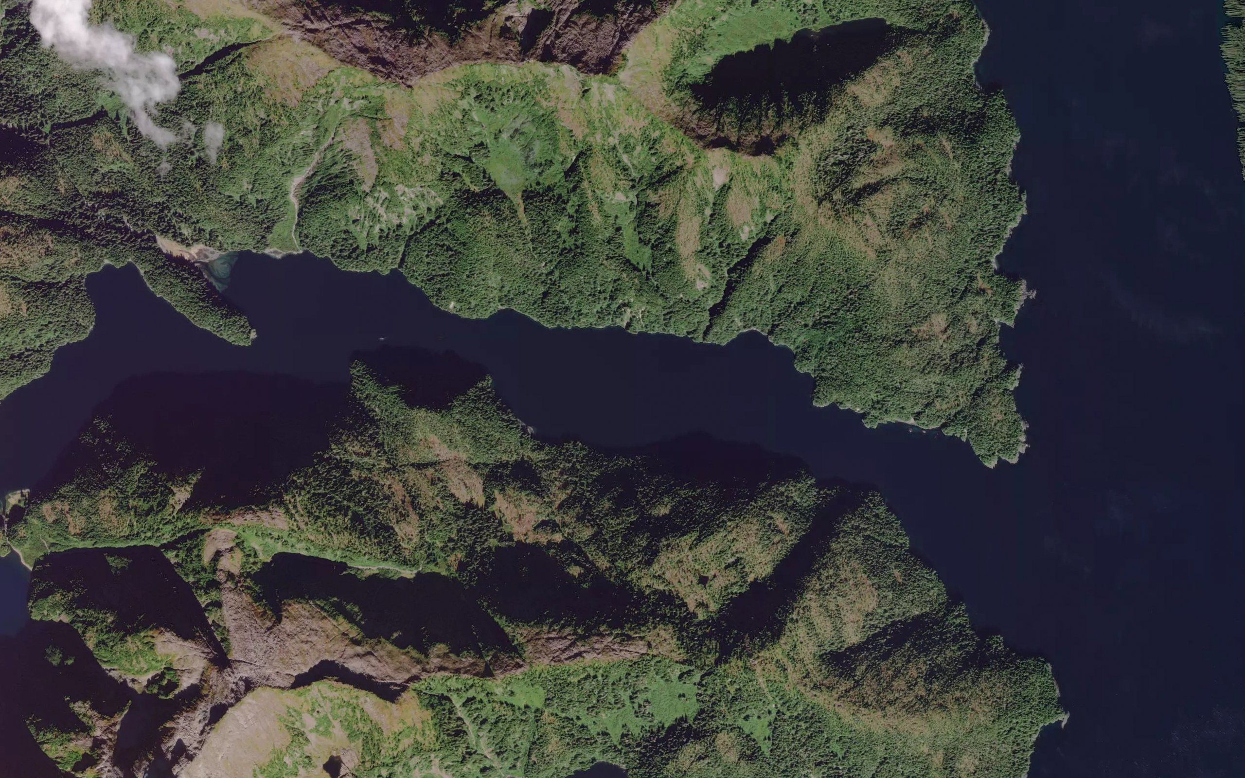 Deep Cove