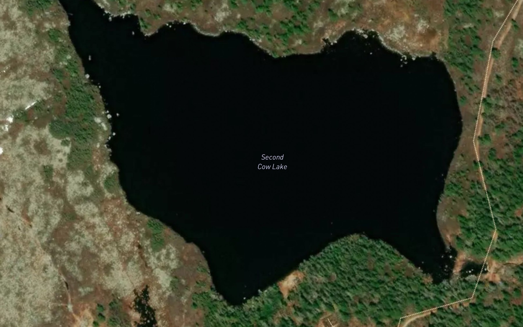 Satellite map of the Second Cow Lake