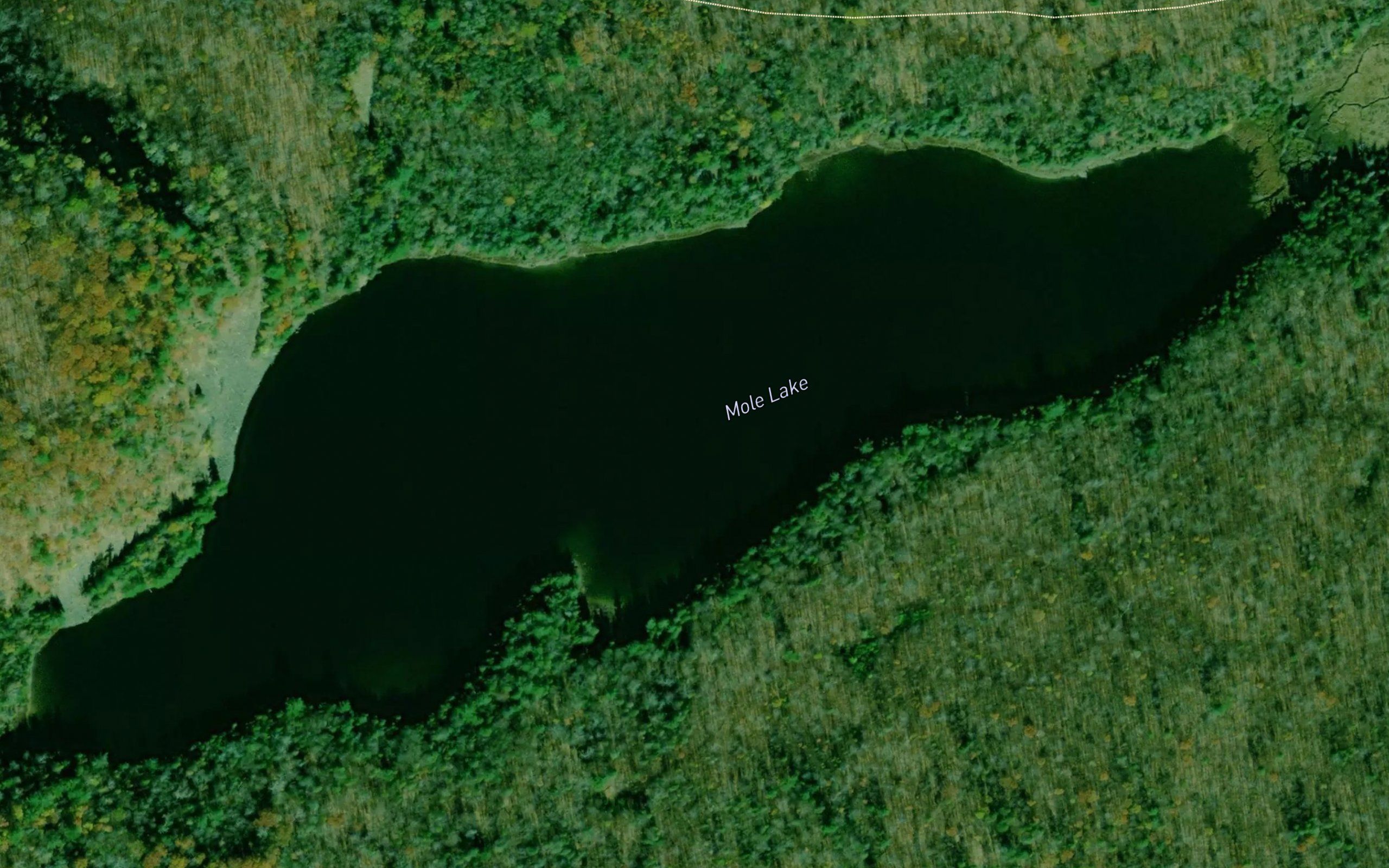 Mole Lake