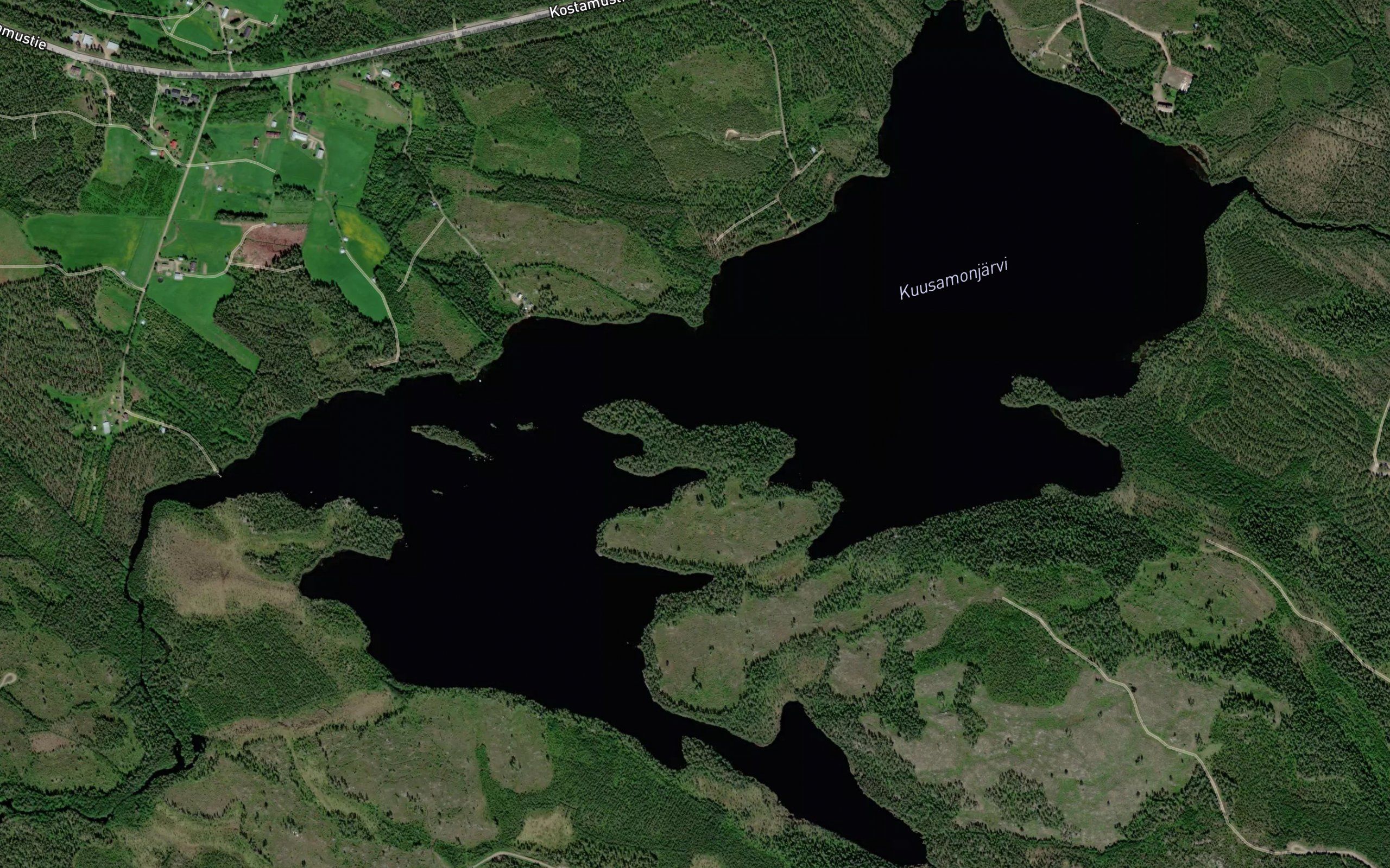 Hoikanjoki
