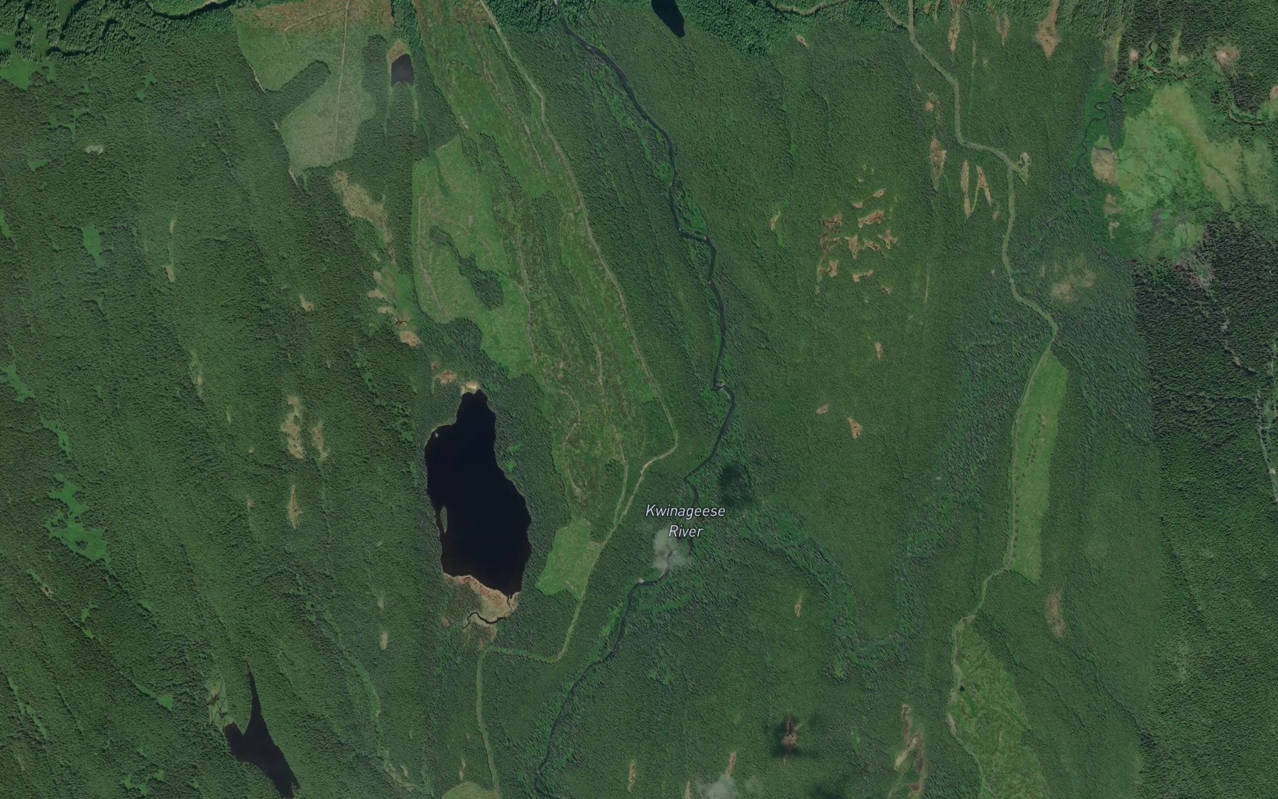 Satellite map of the Shanalope Creek
