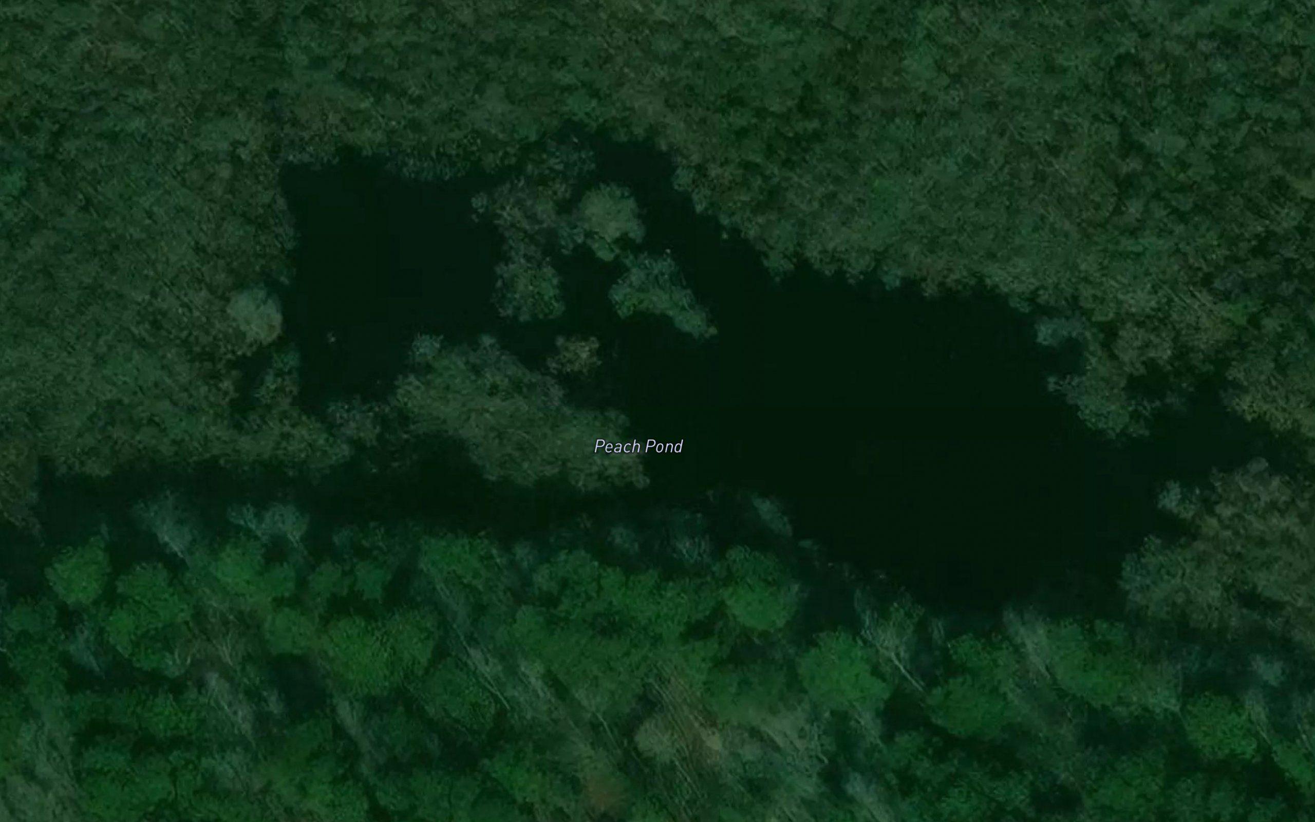 Peach Pond