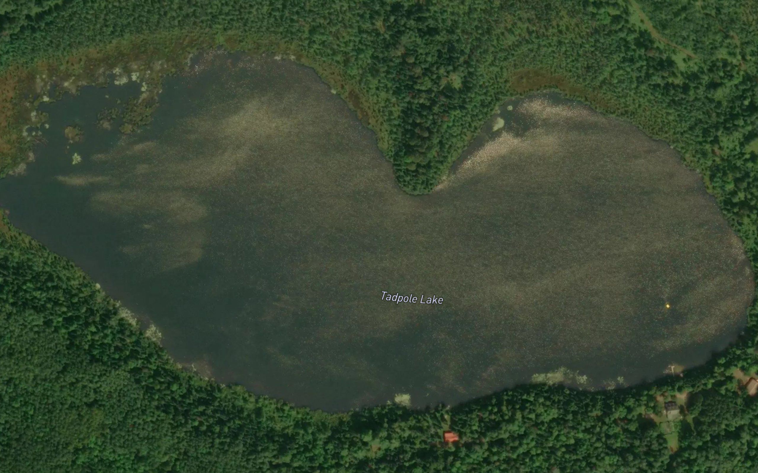 Tadpole Lake
