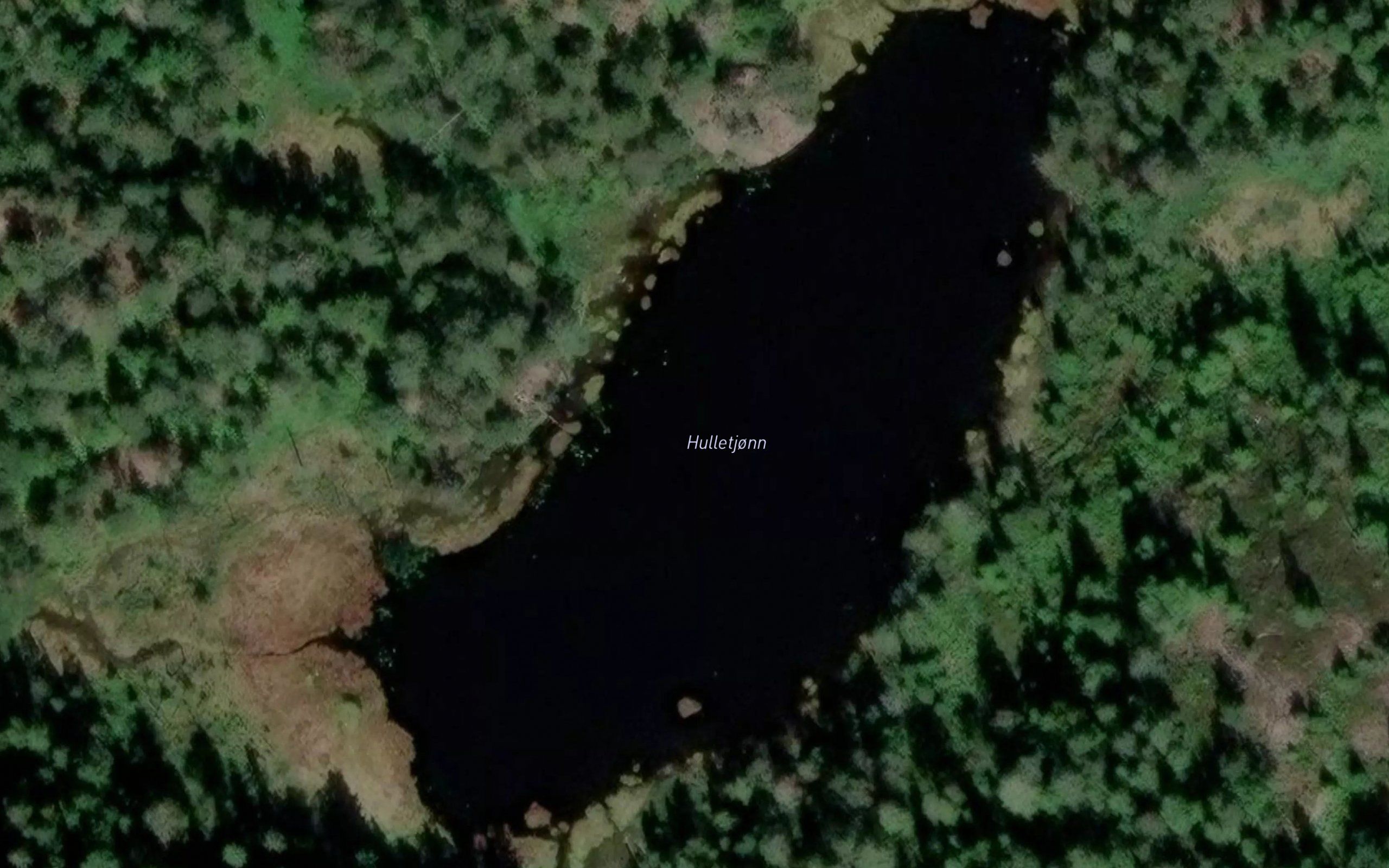 Hulletjonn
