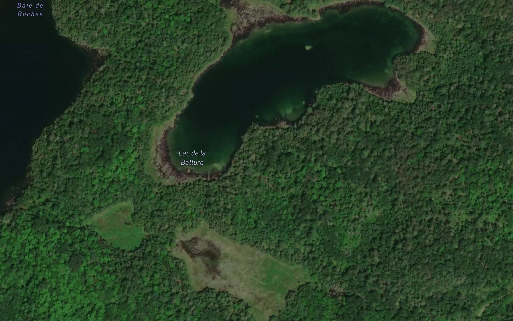 Satellite map of the Lac de la Batture