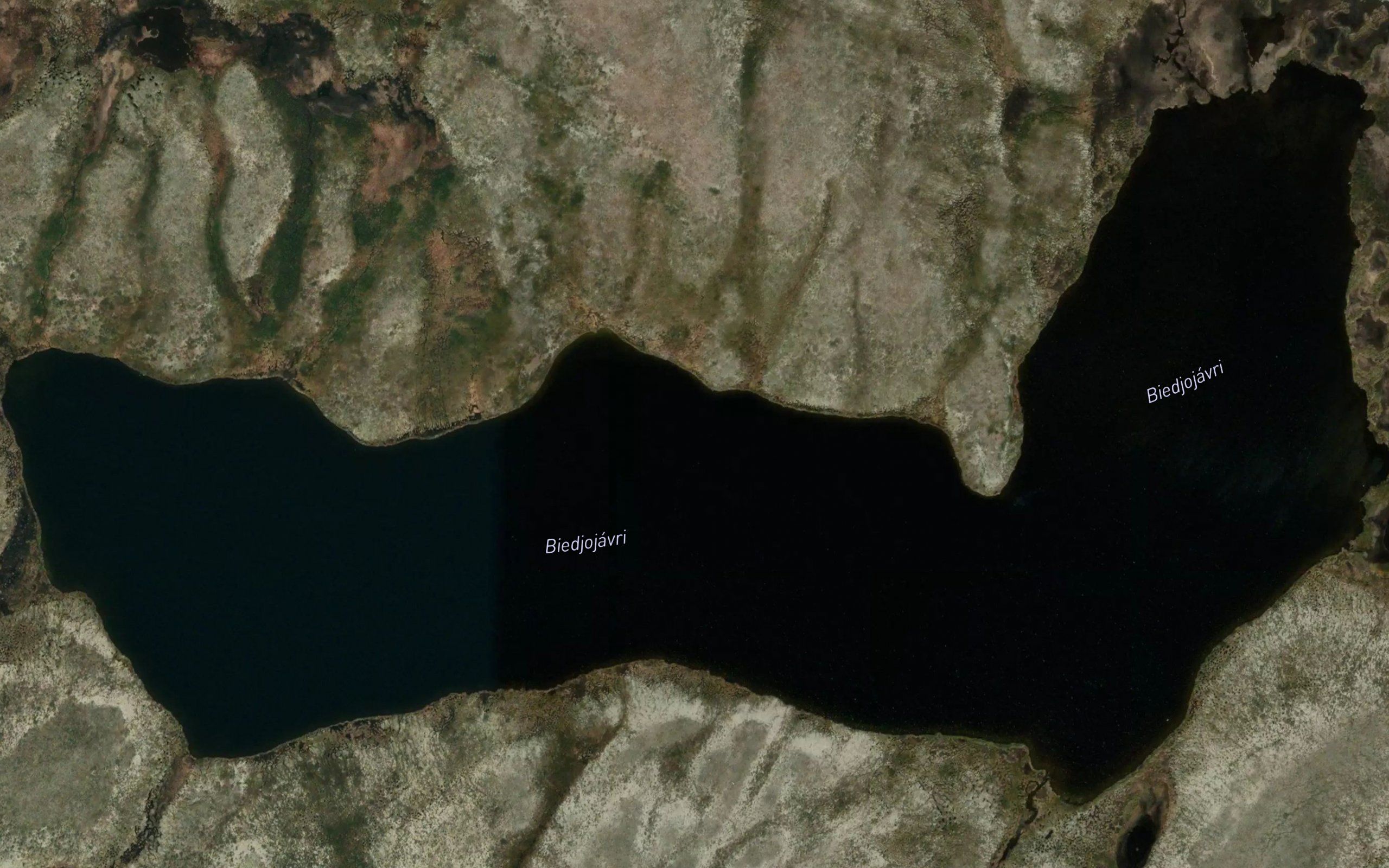 Bieddjujavri