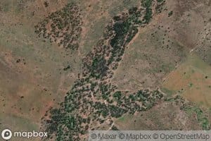 Mosquito Creek