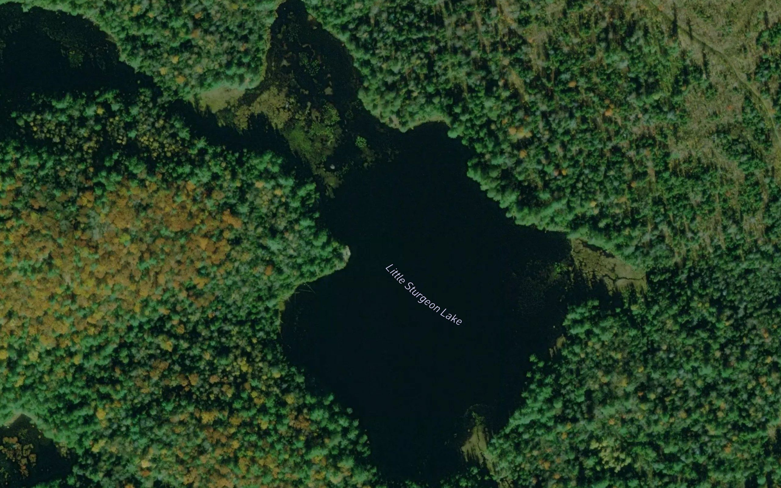 Little Sturgeon Lake