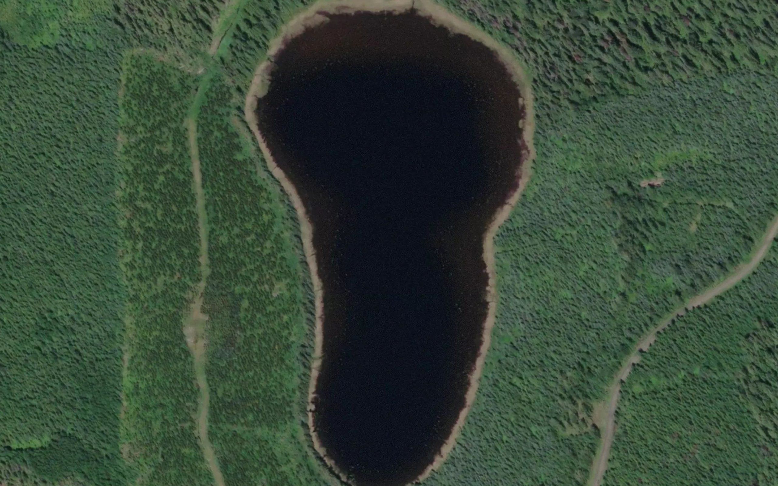 Wolftrack Lake