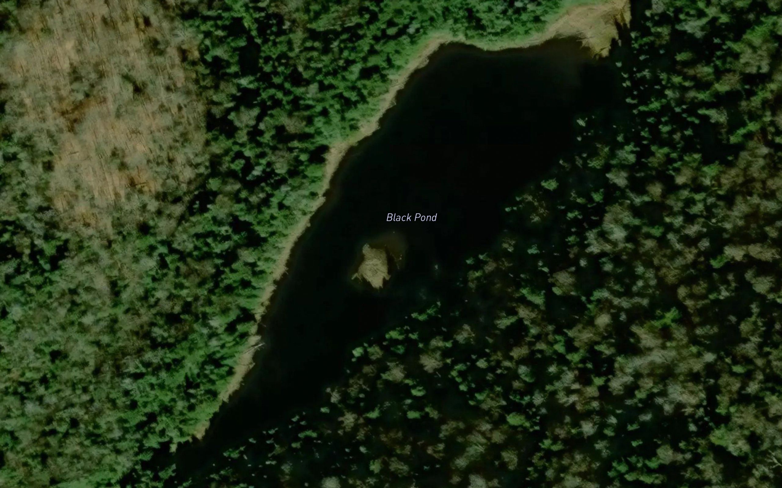 Black Pond