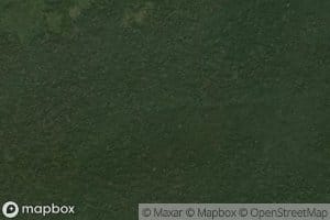 Malikongama