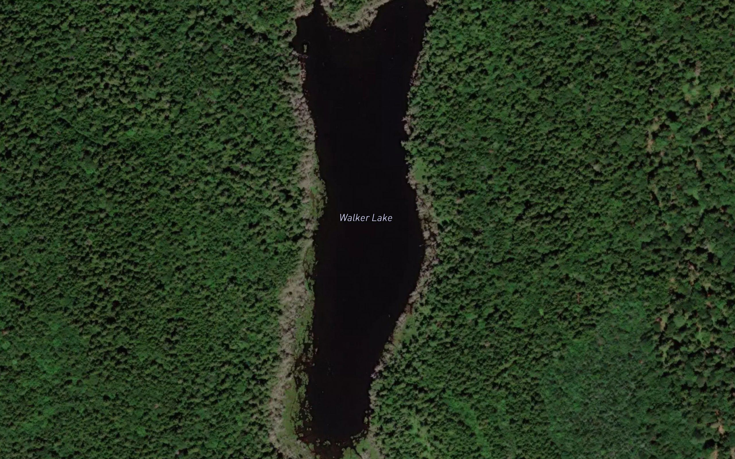 Walker Lake