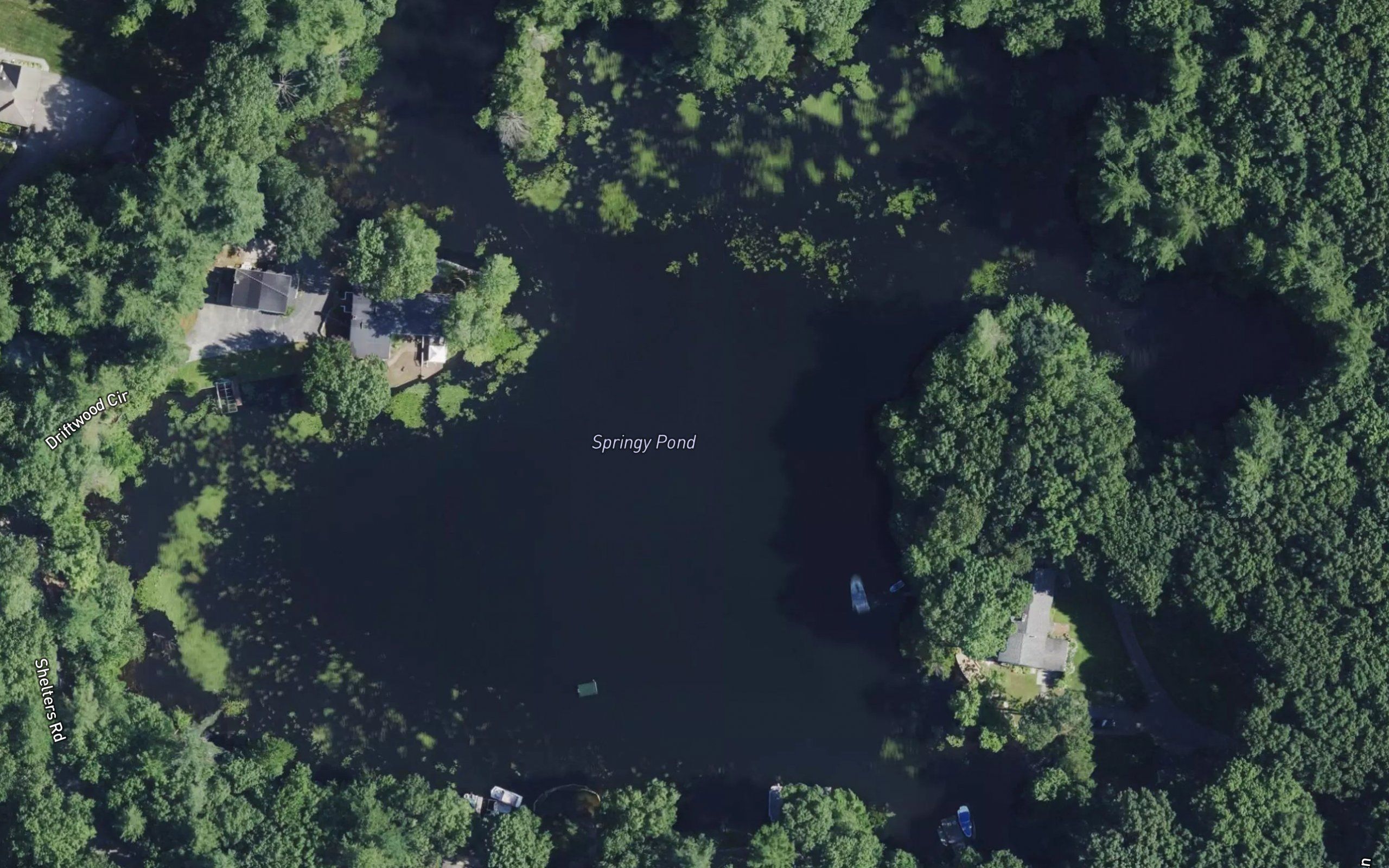 Springy Pond