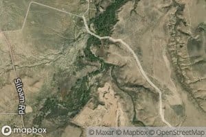 Low Black Creek