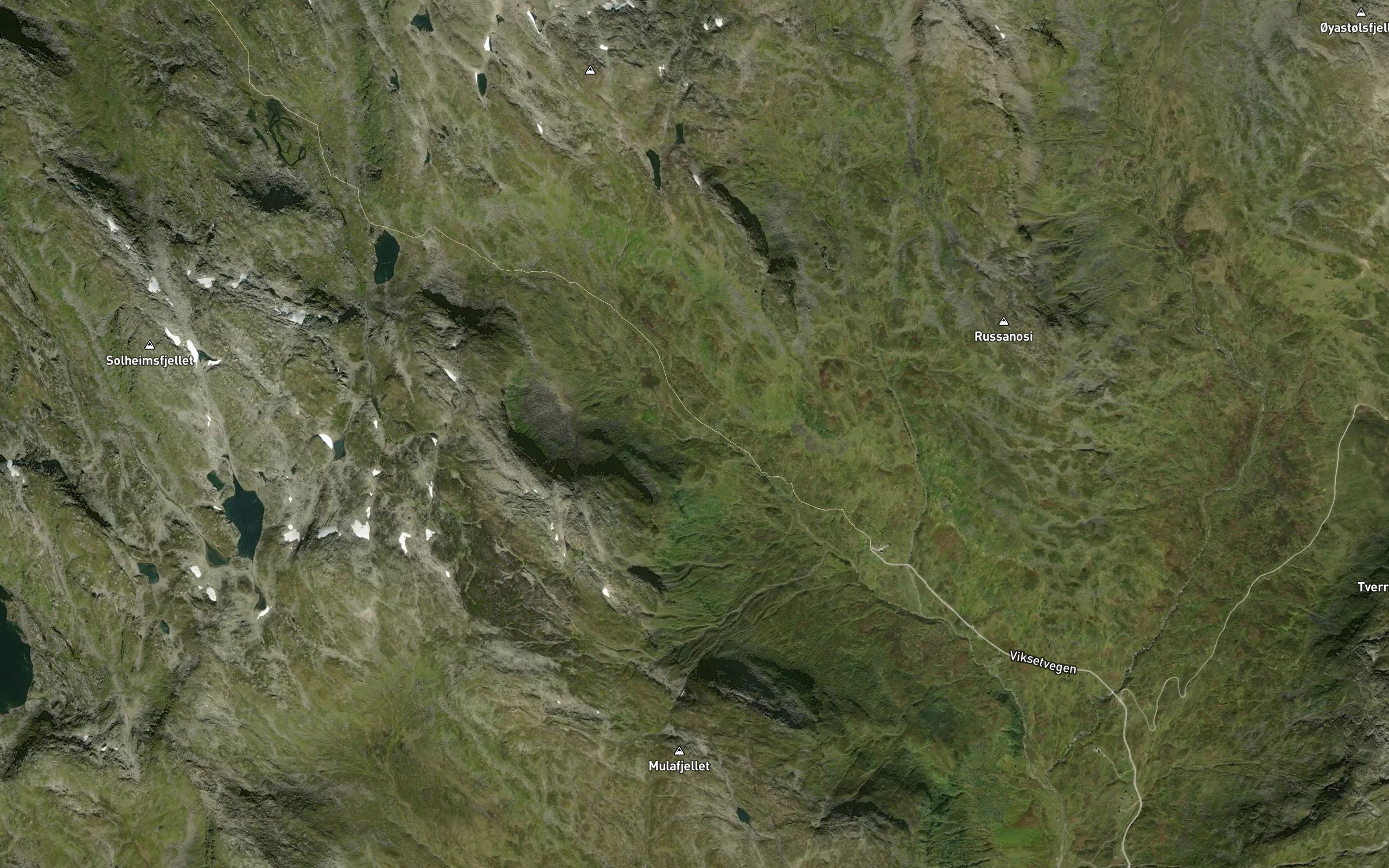 Fossene