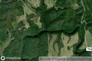 Fallingwater Creek