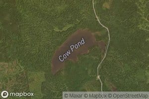 Cow Pond