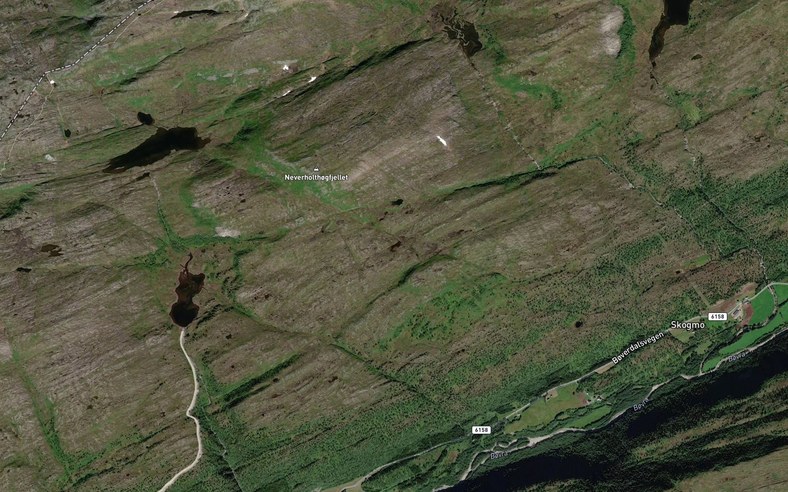 Hogfjelltjonna
