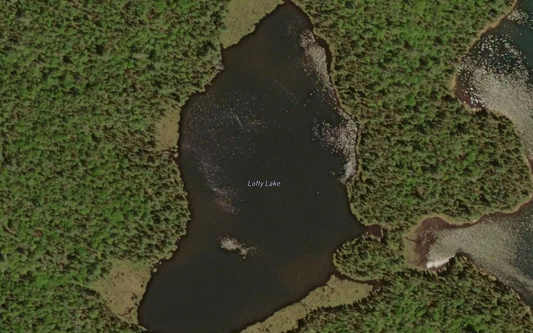 Satellite map of the Lofty Lake