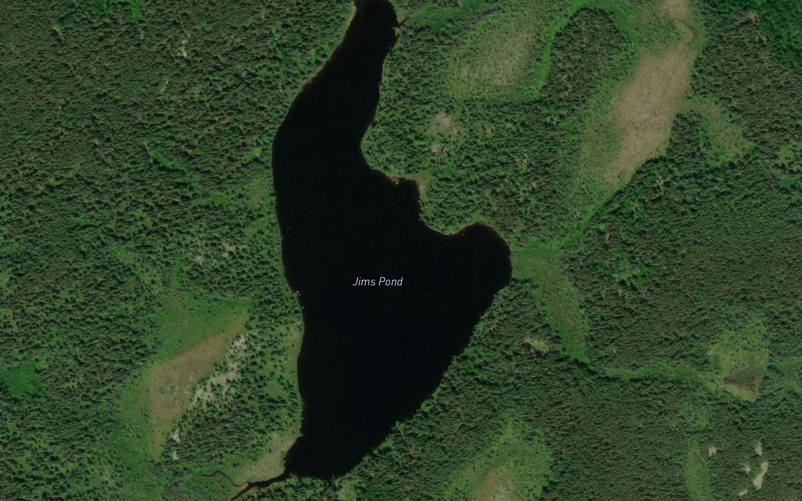 Jims Pond