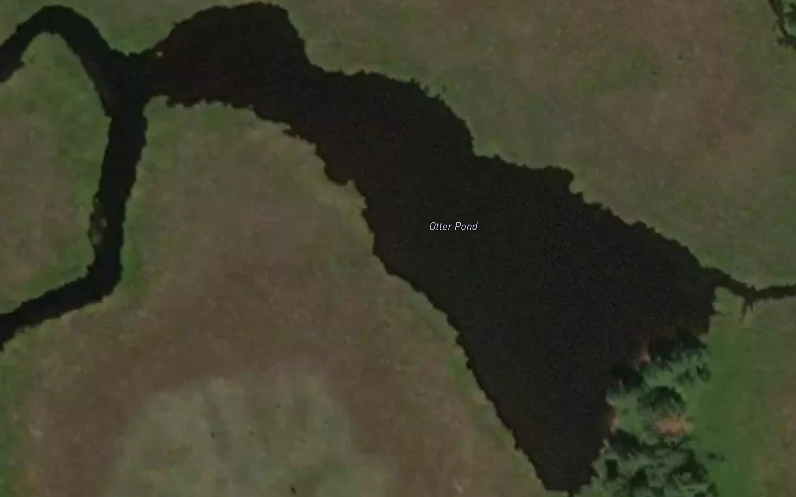 Otter Pond