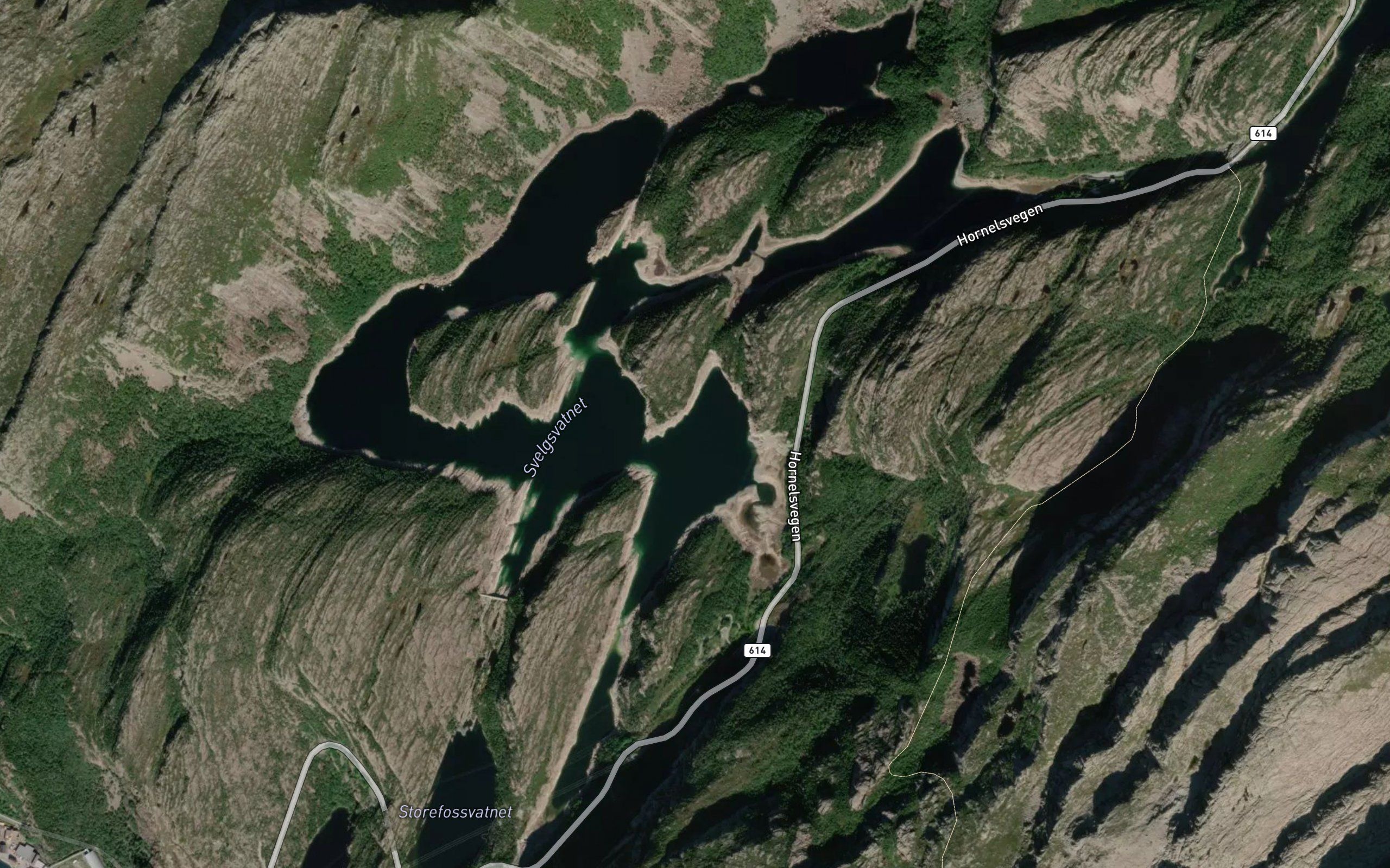 Svelgsvatnet