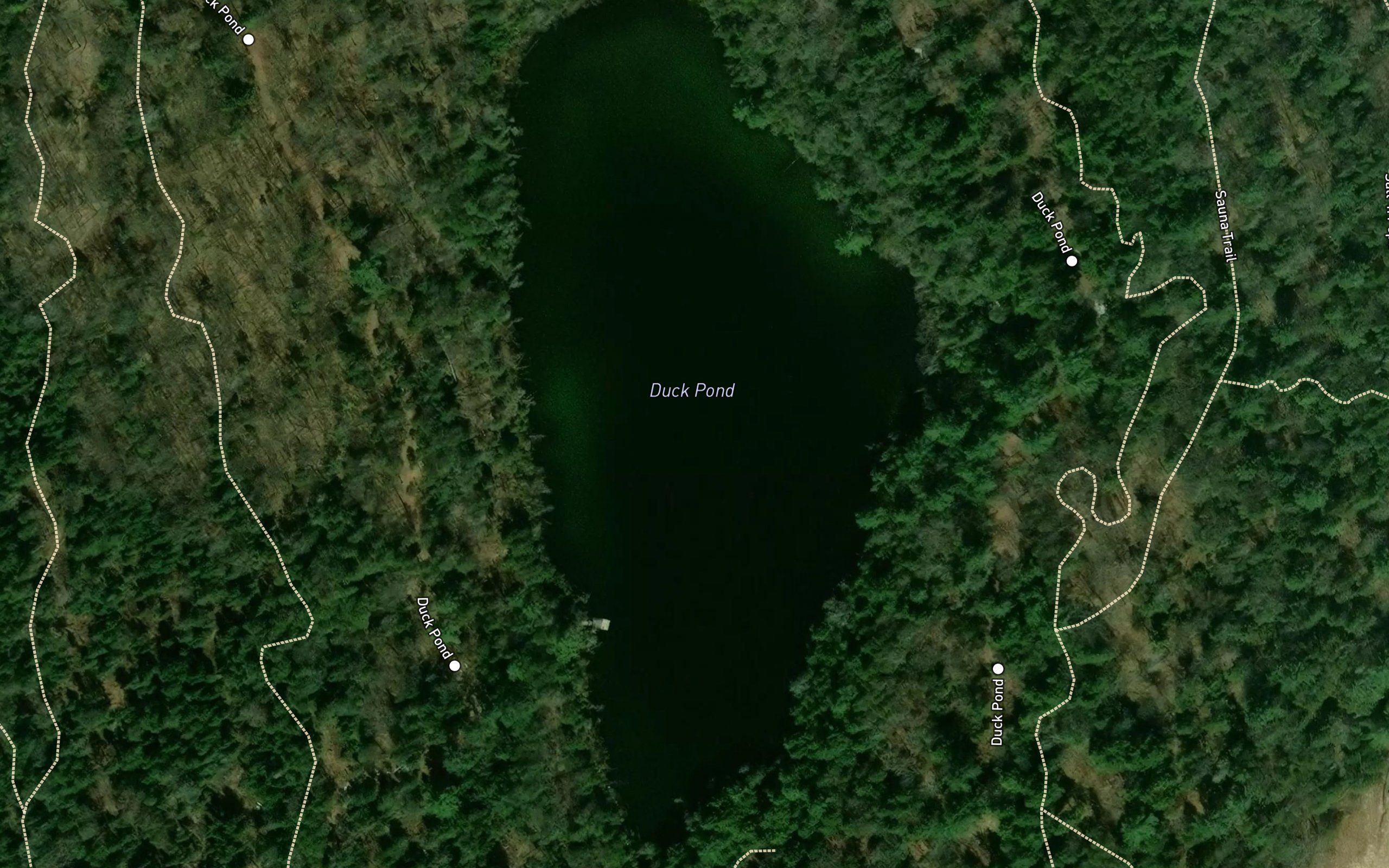 Duck Pond