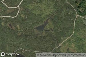 Pine Lake
