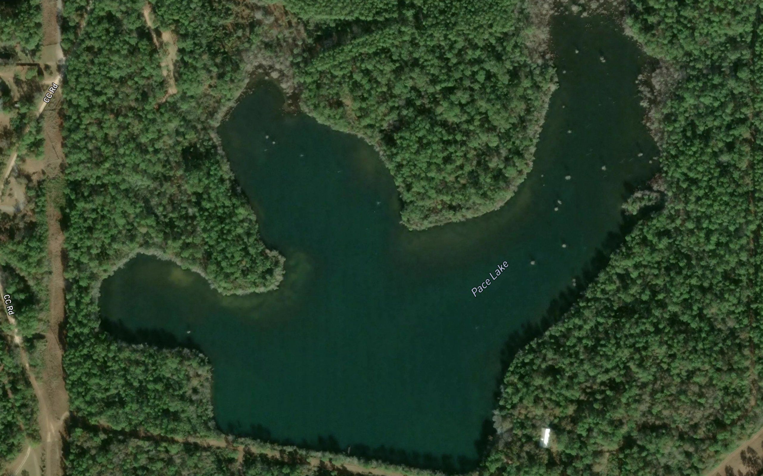 Pace Lake
