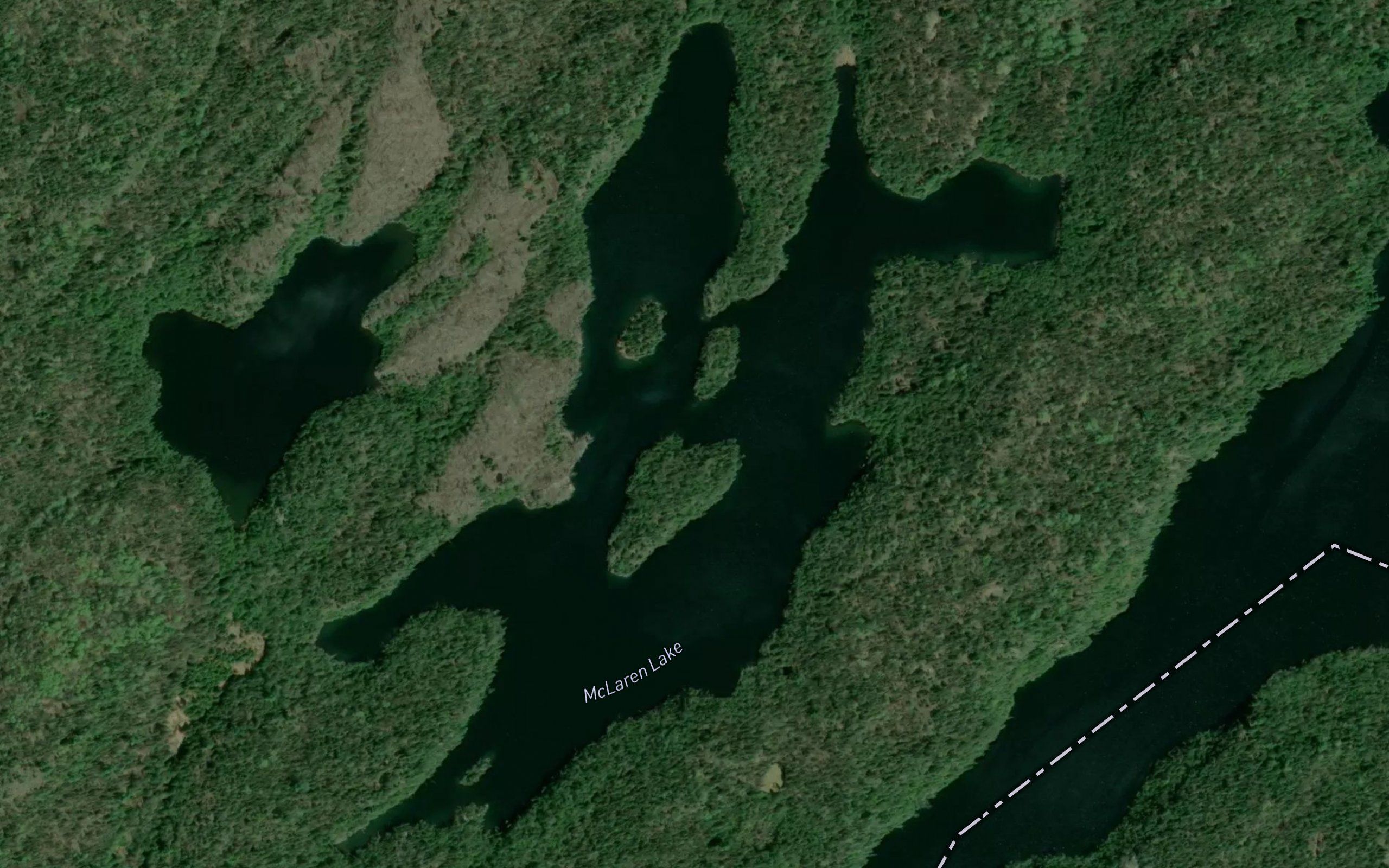 McLaren Lake