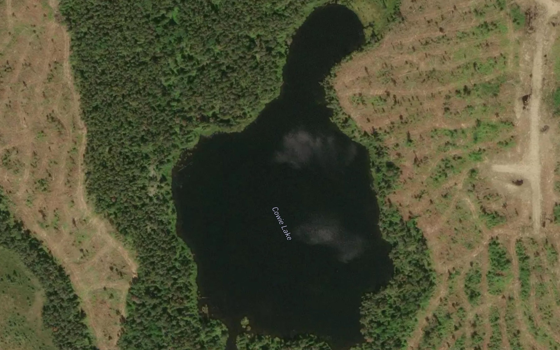 Satellite map of the Cowie Lake
