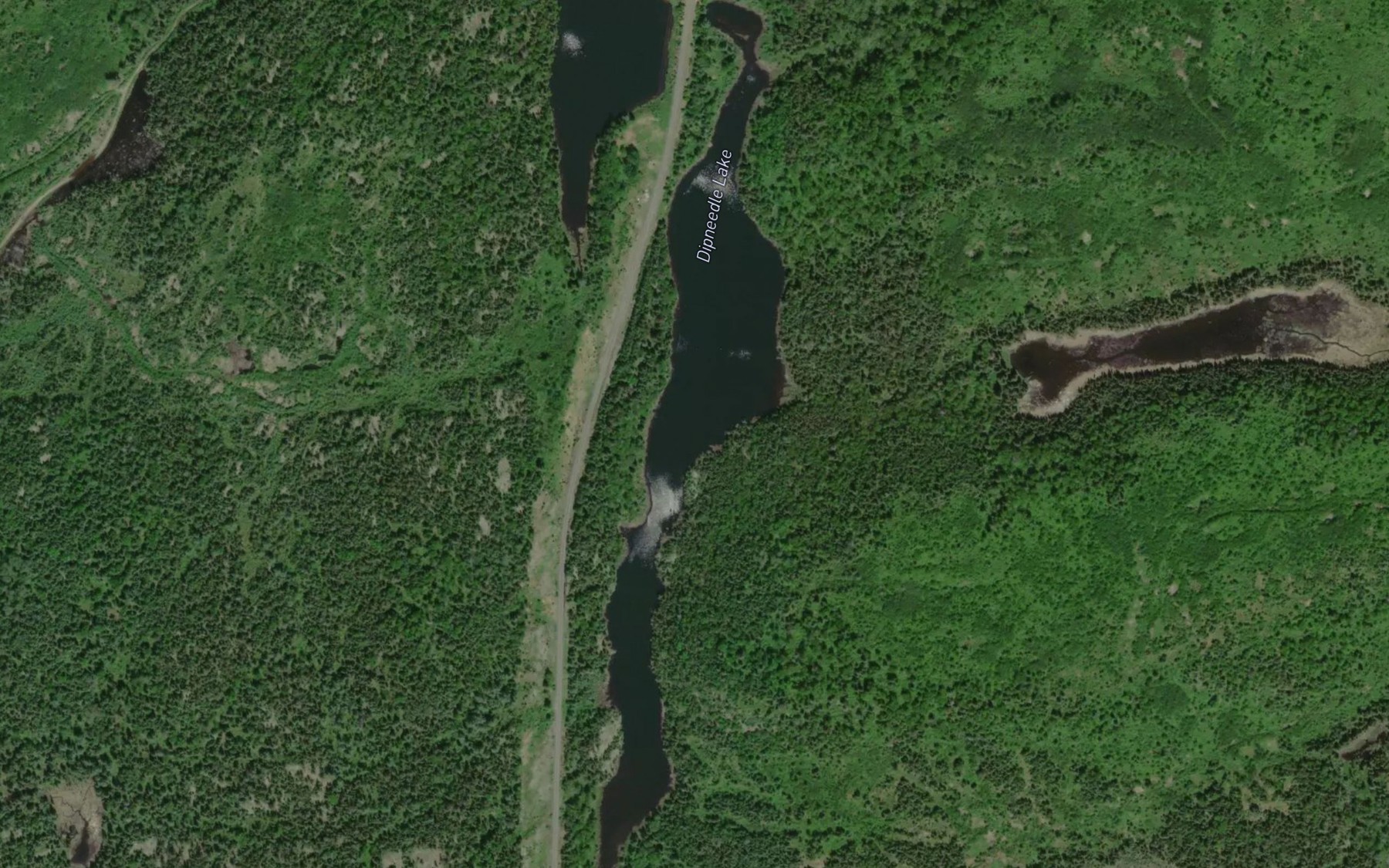 Satellite map of the Dipneedle Lake