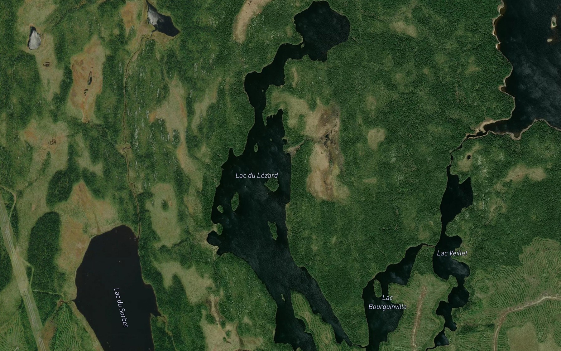 Satellite map of the Lac du Lezard