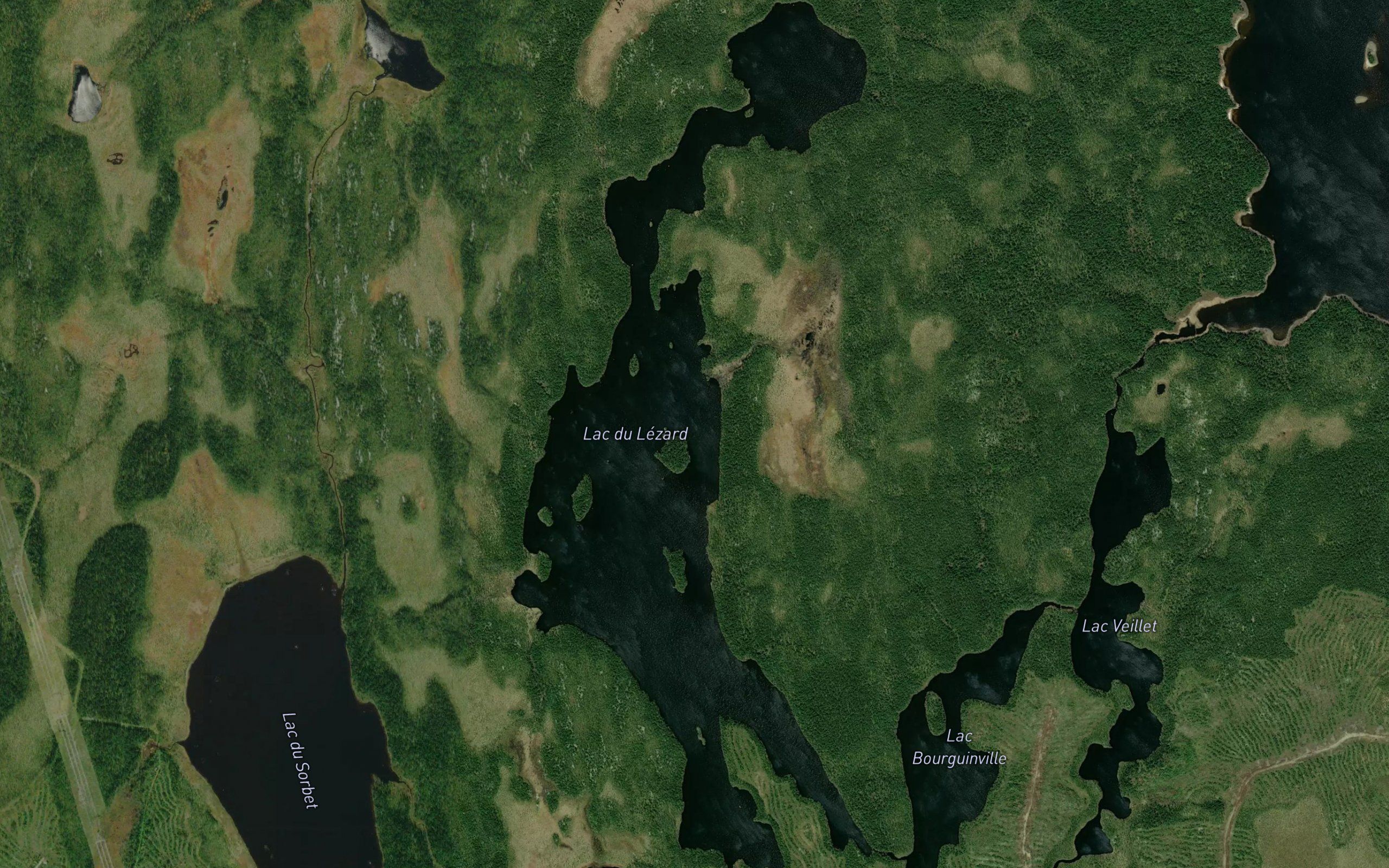 Lac du Lezard