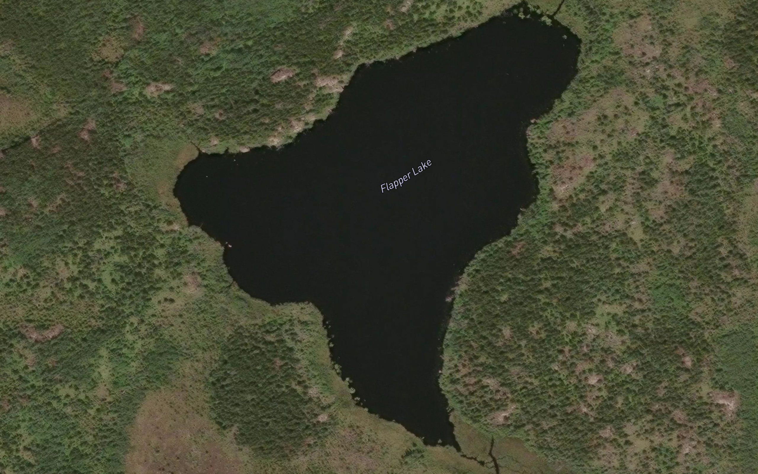 Flapper Lake