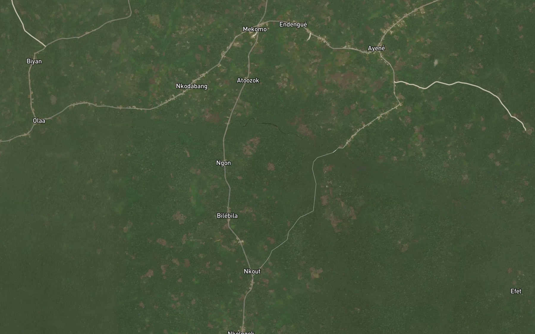 Satellite map of the Manfala