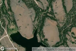 Beetle Creek
