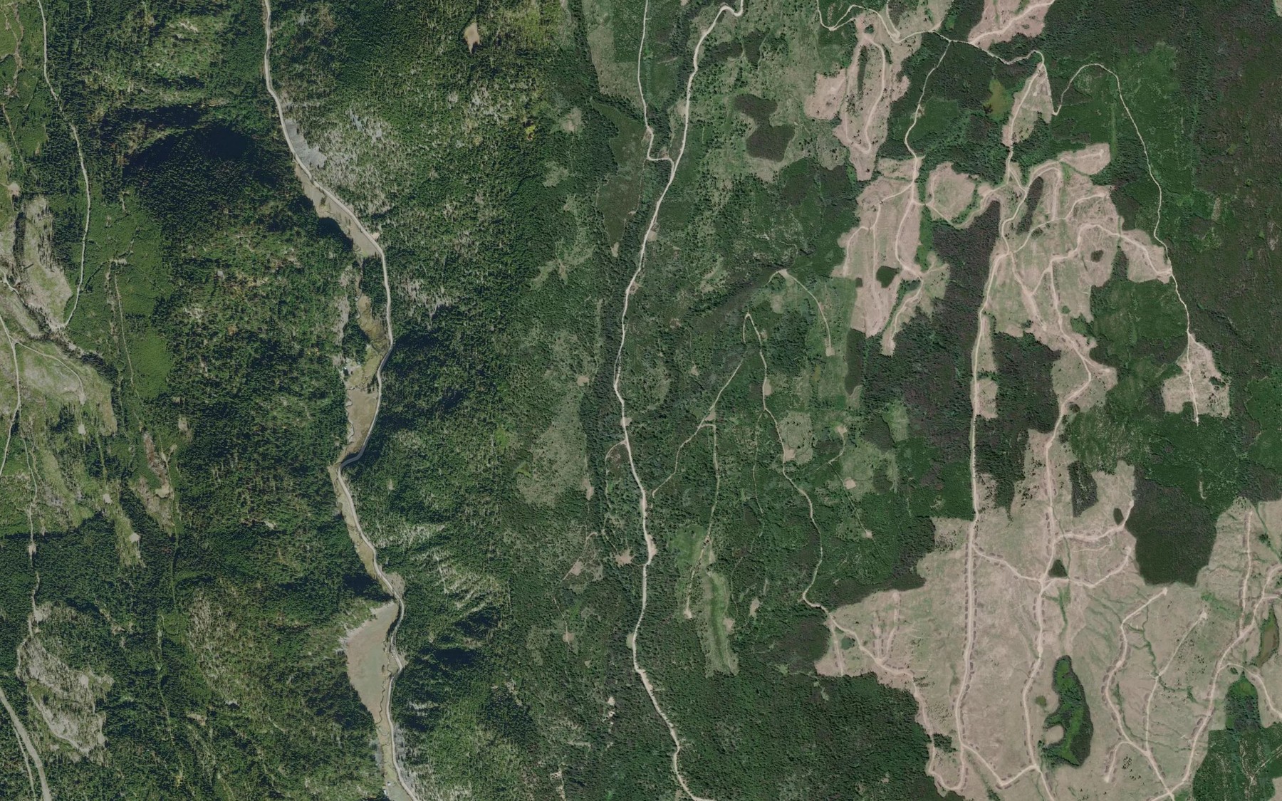 Satellite map of the Swanson Creek