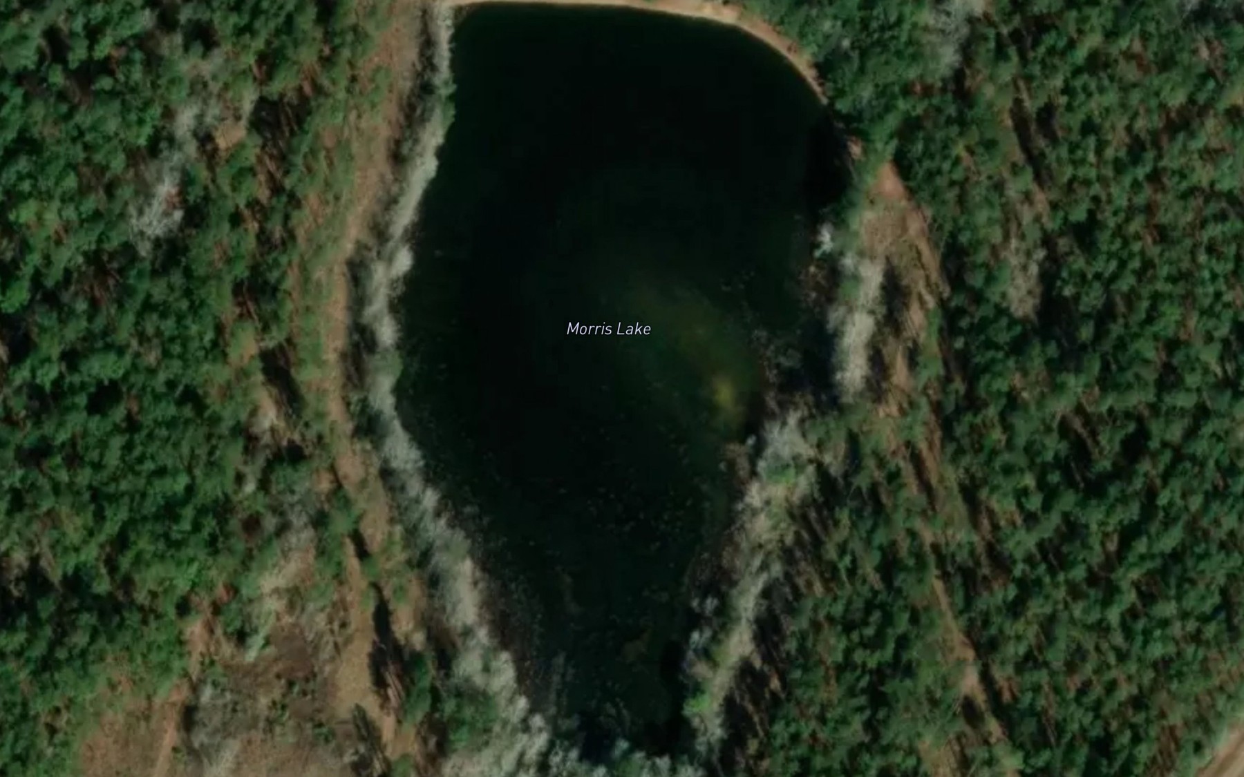 Satellite map of the Morris Lake