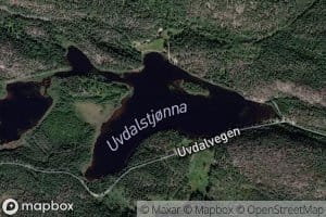 Uvdalstjorna