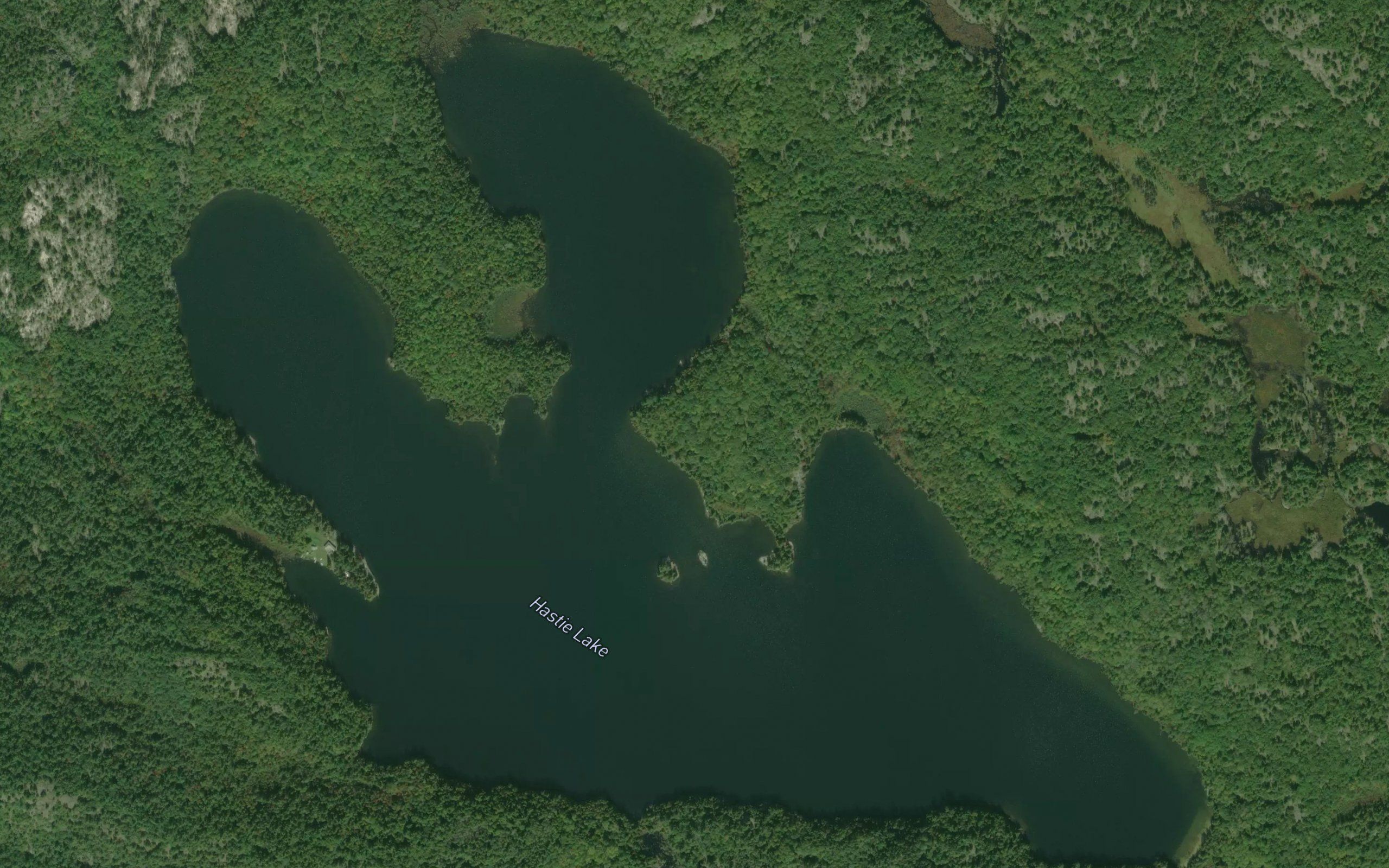 Hastie Lake